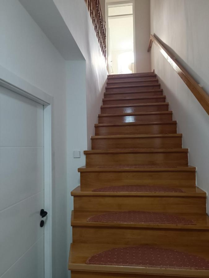 Apartment Nodi *